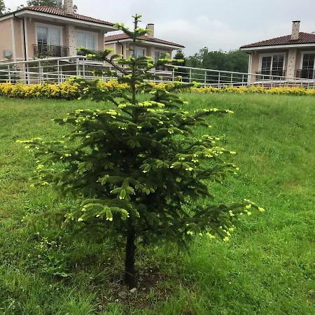 Premium 别墅 萨潘贾