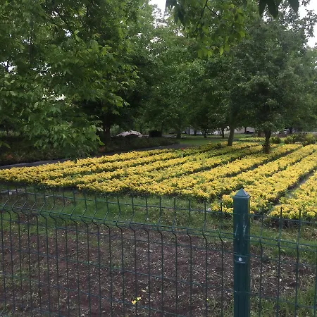 Premium 别墅 萨潘贾