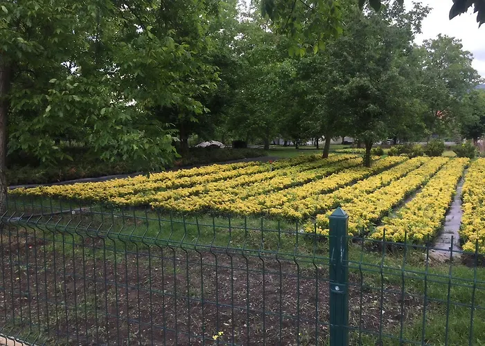 Premium Villa Sapanca